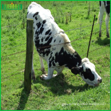 Cerca de la granja de la cabra de la alta calidad del precio de fábrica